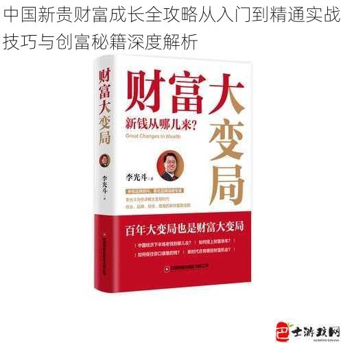 中国新贵财富成长全攻略从入门到精通实战技巧与创富秘籍深度解析